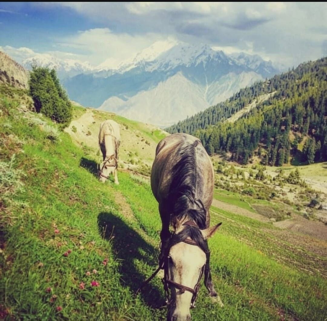 Scenic Nagar district
