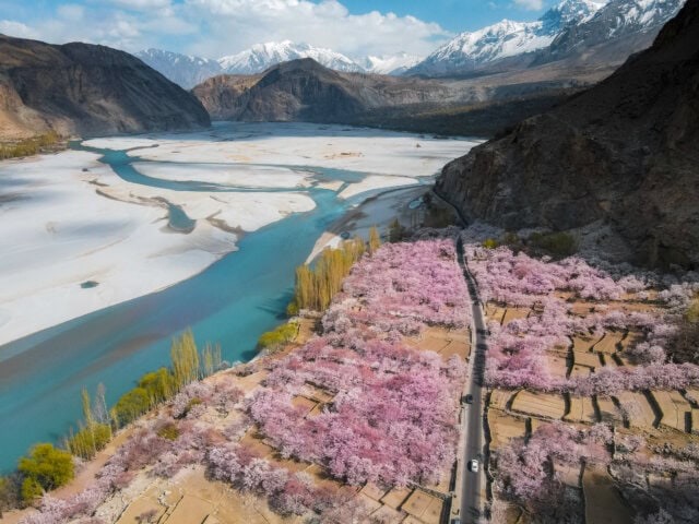 Cherry blossom season in the valley